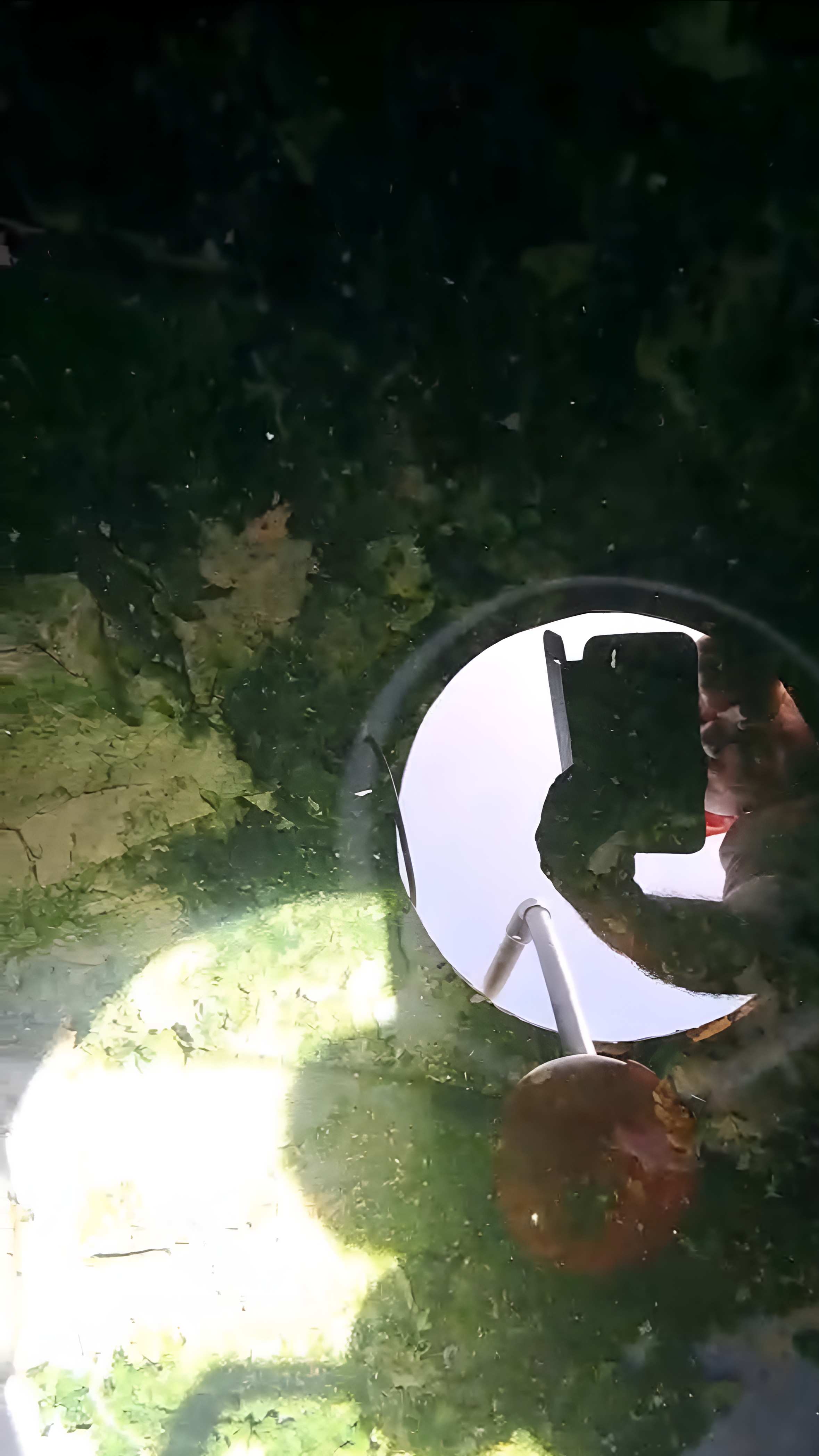 Severe Algae Contamination Cleanup - Before
